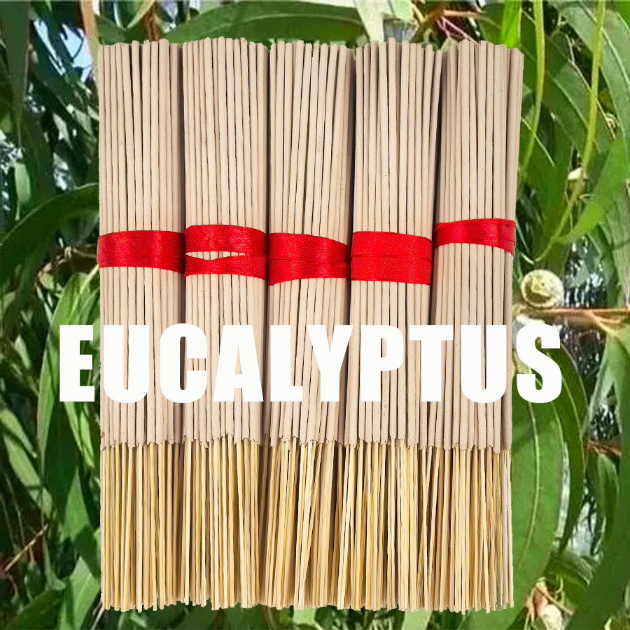 Home Fragrance Eucalyptus - Varas de incenso de eucalipto de