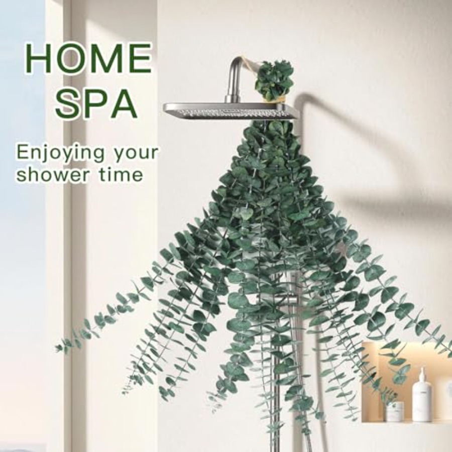 Ramos de Eucalipto Secos para  - Home Fragrance Eucalyptus avaliação e preço