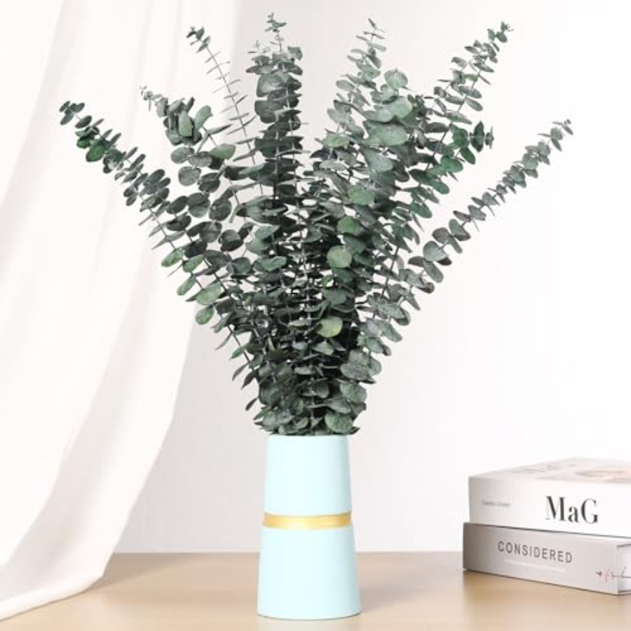 Ramos de Eucalipto Secos para  - Home Fragrance Eucalyptus avaliação e preço