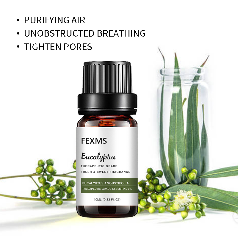 Óleo Essencial de Eucalipto (1 - Home Fragrance Eucalyptus avaliação e preço