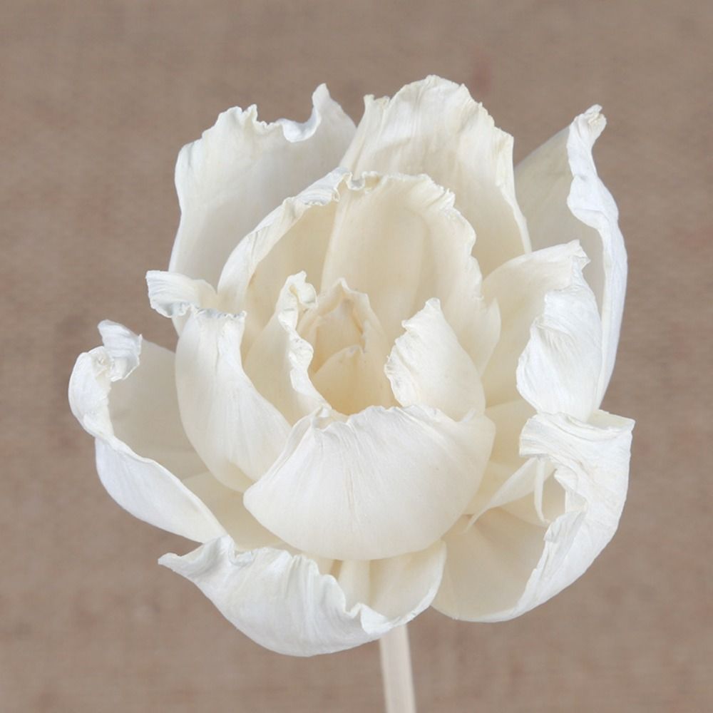 Varetas Difusoras de Incenso A - Home Fragrance Diffuser Sticks avaliação e preço